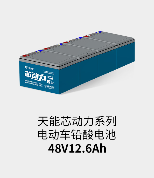 j9游会真人游戏第一品牌电池48v12ah