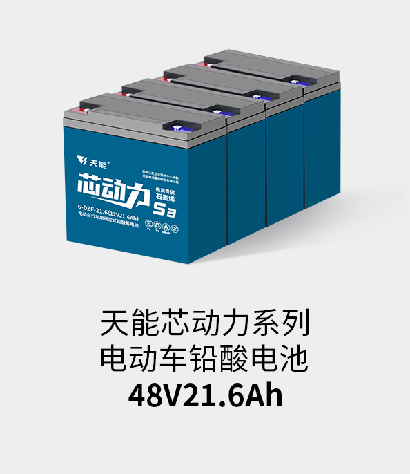j9游会真人游戏第一品牌电池48v20ah