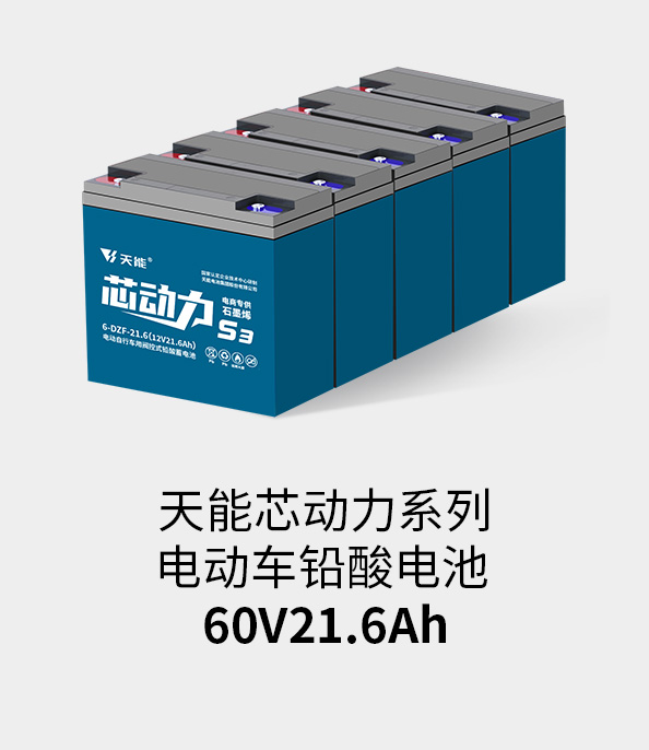 j9游会真人游戏第一品牌电池60v20ah