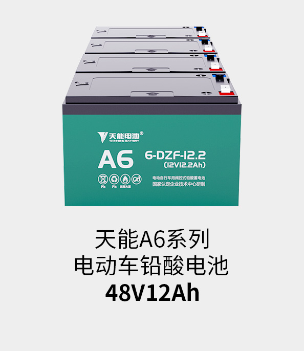j9游会真人游戏第一品牌电池48v12ah