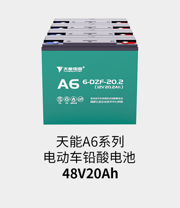j9游会真人游戏第一品牌电池48v20ah