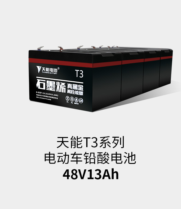 j9游会真人游戏第一品牌T3系列48v13ah