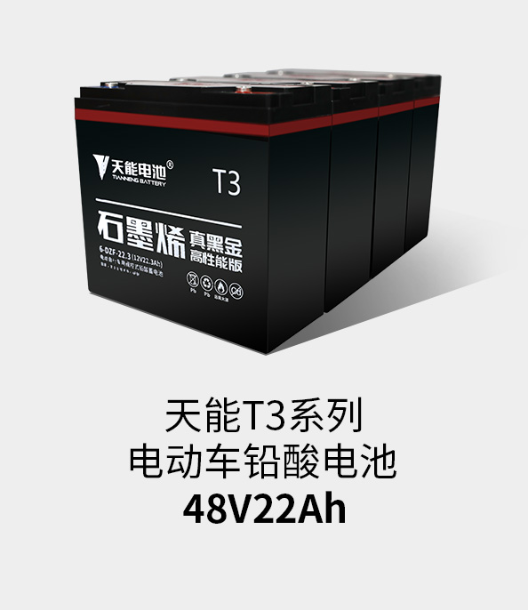j9游会真人游戏第一品牌T3系列48v22ah