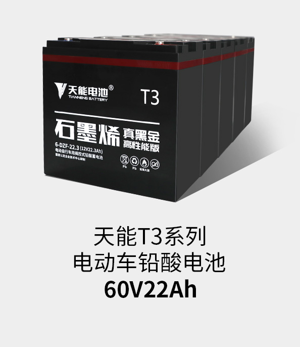j9游会真人游戏第一品牌T3系列60v22ah